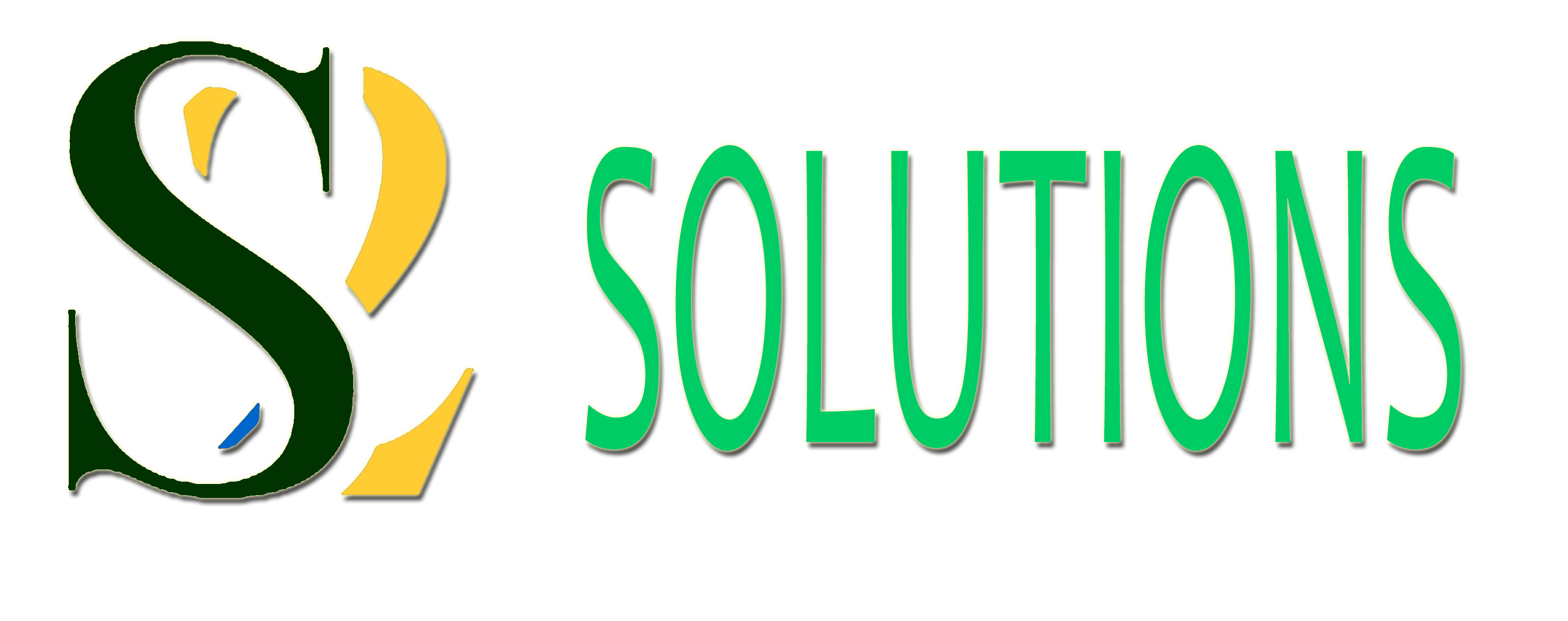 s2solutionsgroup.com